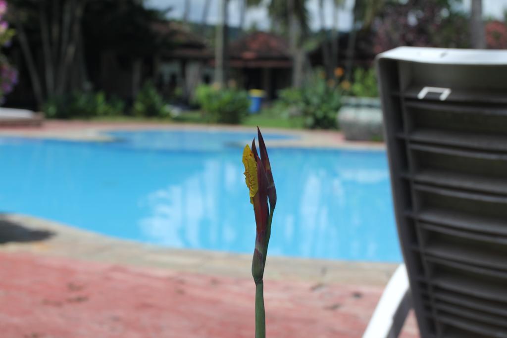Kuta Indah Hotel מראה חיצוני תמונה